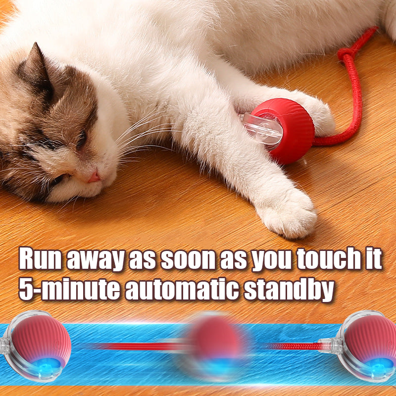 Automatic Rolling Cat Toy with Faux Tail
